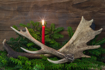 A Christmas card motif for hunters. Burning candle with sika and fallow deer antlers on fir...