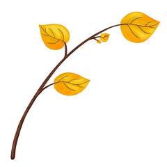 fall leaf isolated on transparent background 
