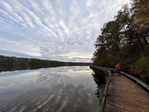 A man with dogs walking along the lake boardwalk at sunset, Cheraw State Park, South Carolina, USA.