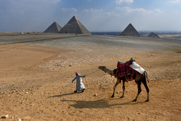 Ancient egyptian pyramids in Giza and the camel