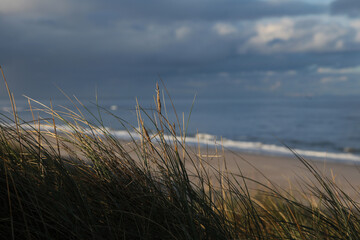 Strand an der Nordsee Insel Sylt im Herbst