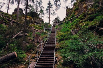 The valley with rock trail in deep forest near Kyjov, Bohemian Switzerland, Czech republic