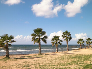 Beach and palm trees. Mediterranean sea coast.