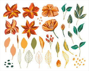 Red orange yellow vector flowers clipart. Bloom floral graphic clip art on white background. Abstract botanical isolated set illustration