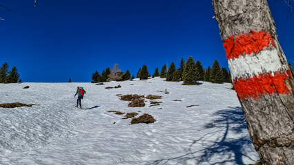 Woman walking next to path mark with Austrian flag painted on tree near Ladinger Spitz, Saualpe,...