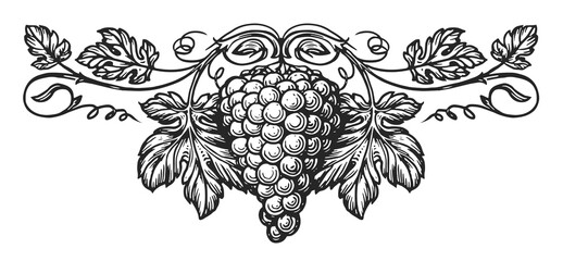 Bunch of grapes with leaves pattern. Fresh fruit sketch. Winery, wine, juicy element for label design