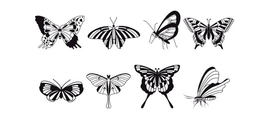 A collection of butterflies. Black and white flat drawing. Vector graphics. Vintage, stencil, tattoo, for print.