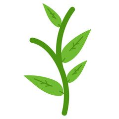 Fototapeta premium sunflower with leaves