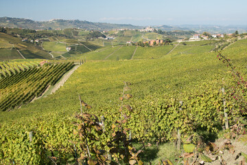 Fototapeta na wymiar Autumn Italian Langhe view. View of hills with vines in autumn season. Piemonte, Langhe area.
