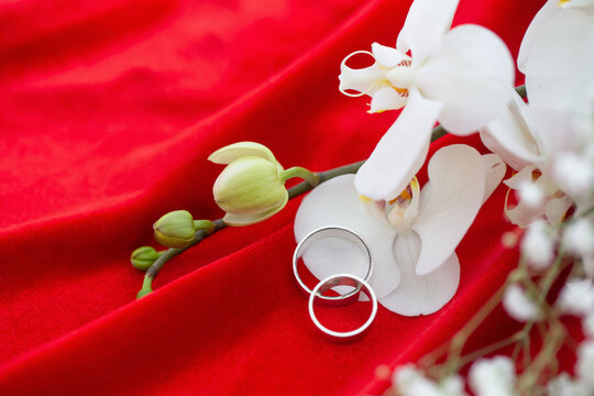 wedding rings with flowers on red velvet background