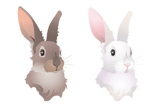 Gray and white rabbit, symbol of 2023. Set of isolated vector illustrations