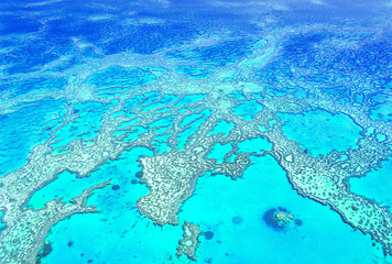 Aerial of Hardy Reef, Great Barrier Reef.