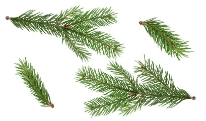 Fir branch isolated png transparent. christmas tree. Christmas green spruce branch. green fir tree branch. Object for christmas card, packaging, banner, calendar. - obrazy, fototapety, plakaty