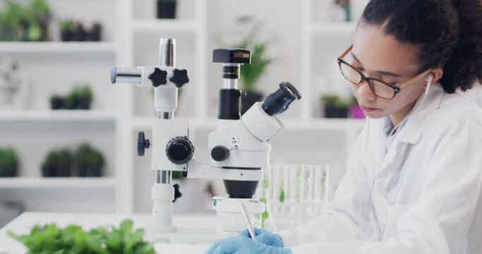 Earphones, science and doctor with microscope writing research results while listening to music song, radio or audio podcast. Laboratory, botanist and scientist from Brazil testing plants for growth
