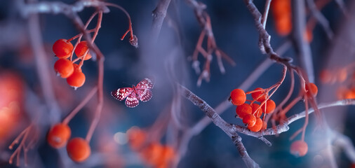 Butterflies in a fabulous blue autumn forest. Magic art banner. - 549063934