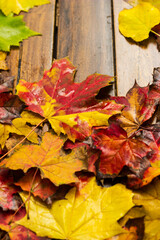 Naklejka na ściany i meble Autumn background with colorful dry leaves