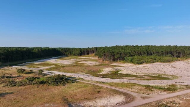 Drone footage over Naturschutzgebiet Oranjezon nature reserve in Vrouwenpolder, Netherlands