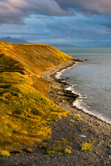 Fototapeta na wymiar Iceland coast