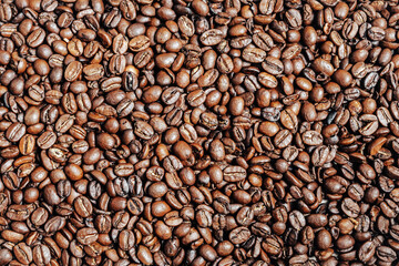 coffee beans background