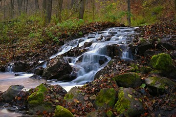 Beautiful forest with flowing water in the stream. Concept for nature and environment.