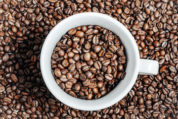coffee beans in a cup