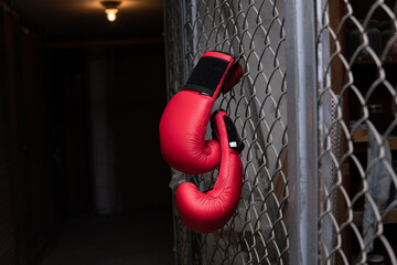Red boxing gloves suspended from the mesh of the cage
