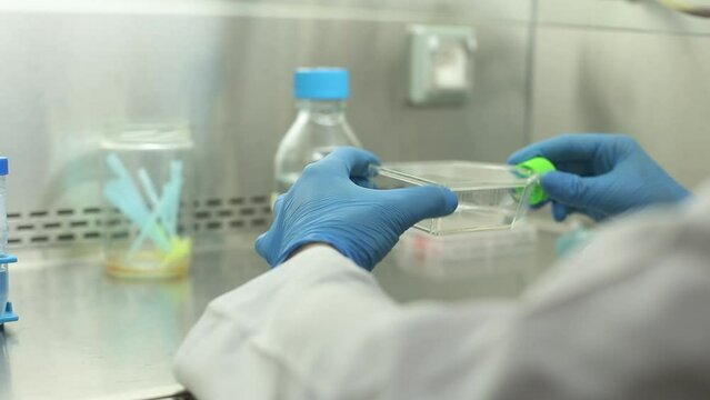 cell culture at the medicine, medical and cell culture laboratory