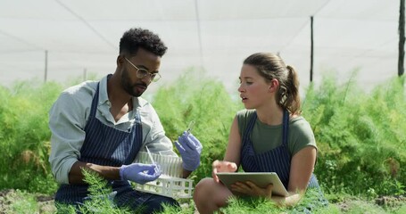 Ecology greenhouse, tablet and team with test tube research plant growth, agriculture environment or farm sustainability. Collaboration, teamwork and diversity black man and woman study eco field - Powered by Adobe
