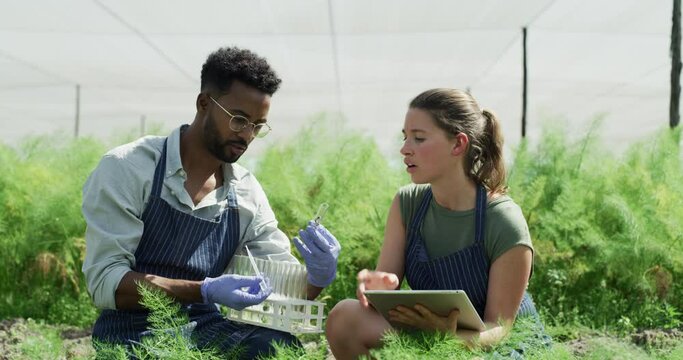 Ecology greenhouse, tablet and team with test tube research plant growth, agriculture environment or farm sustainability. Collaboration, teamwork and diversity black man and woman study eco field