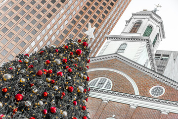 Christmas Tree in Boston
