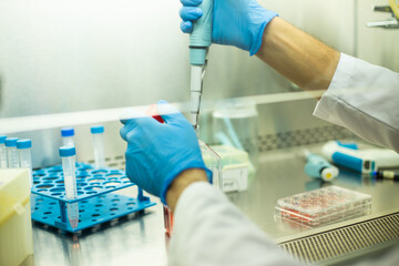cell culture  at the medicine , medical and biology laboratory