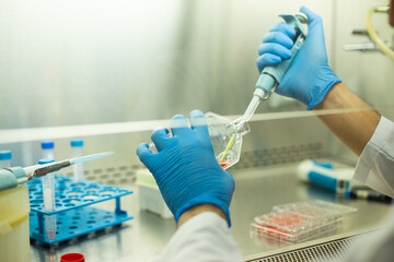 cell culture  at the medicine , medical and biology laboratory