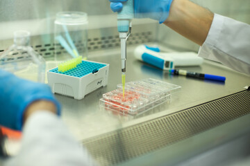 cell culture  at the medicine , medical and biology laboratory