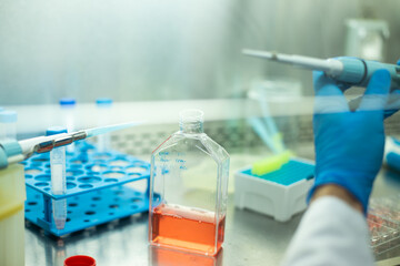 cell culture  at the medicine , medical and biology laboratory