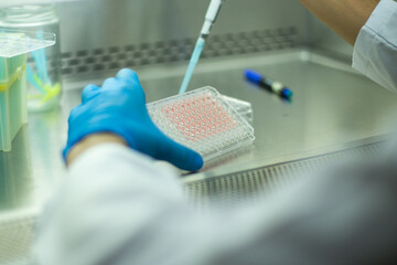 cell culture  at the medicine , medical and biology laboratory