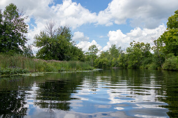 Fototapeta na wymiar trees and sky reflecting in a calm river