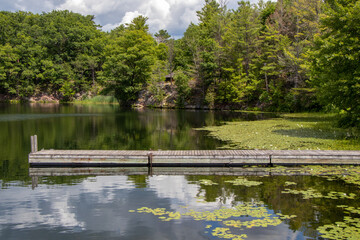 Fototapeta na wymiar wooden dock on a lake with lily pads