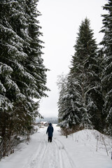 Moldovita, Romania, 2021-12-30. A person is walking on a snowy path in the middle of giant conifers.