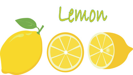 Vector illustration of fresh lemon