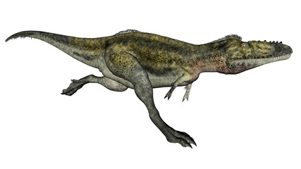 Alioramus dinosaur running - 3D render