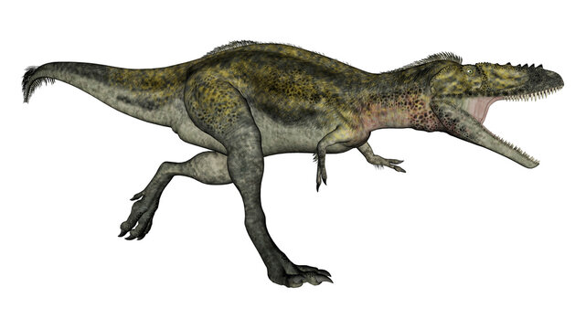 Imágenes de Alioramus: descubre bancos de fotos, ilustraciones ...