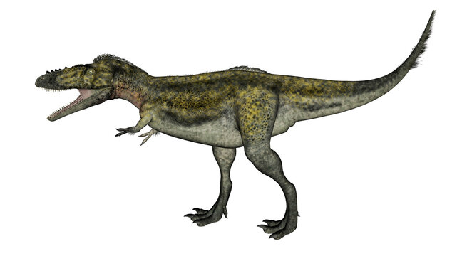 Alioramus dinosaur walking - 3D render