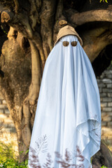 ghost standing around vegetation in broad daylight, at sunset, mexico