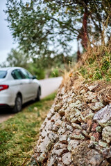 Car parked near a stone wall. Hanging tree over the road.