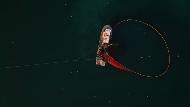 Aerial View of Fishing Ship and Net in Circle Shape, Collecting Fish From sea. Traditional Salmon Fishing in Izmir Turkey, Drone Shot. High quality 4k footage