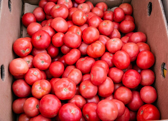 Lots of red tomatoes in a cardboard box. Selling tomatoes at the farm market. Red ripe tomatoes.
