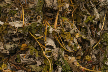 Dry tea leaves as a background.
