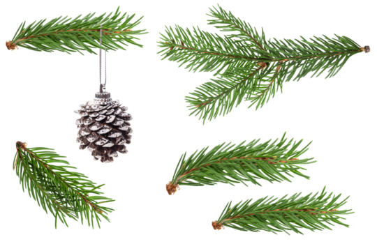 Christmas tree toy - Cone.Fir branch isolated png transparent. christmas tree. Christmas green spruce branch. green fir tree branch. Object for christmas card, packaging, banner, calendar.	