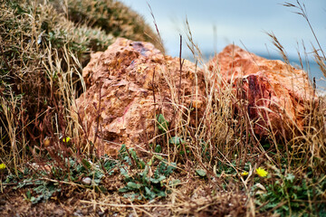  Close-up of a beautiful red stone on the background of plants and the sea. Shallow depth of field.