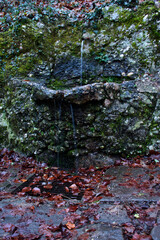 Water coming out of pipe in rock wall at Old Wolfstein castle ruins in Germany.